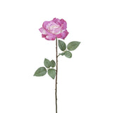 Sophie Closed Rose Stem