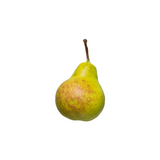 Artificial Pear