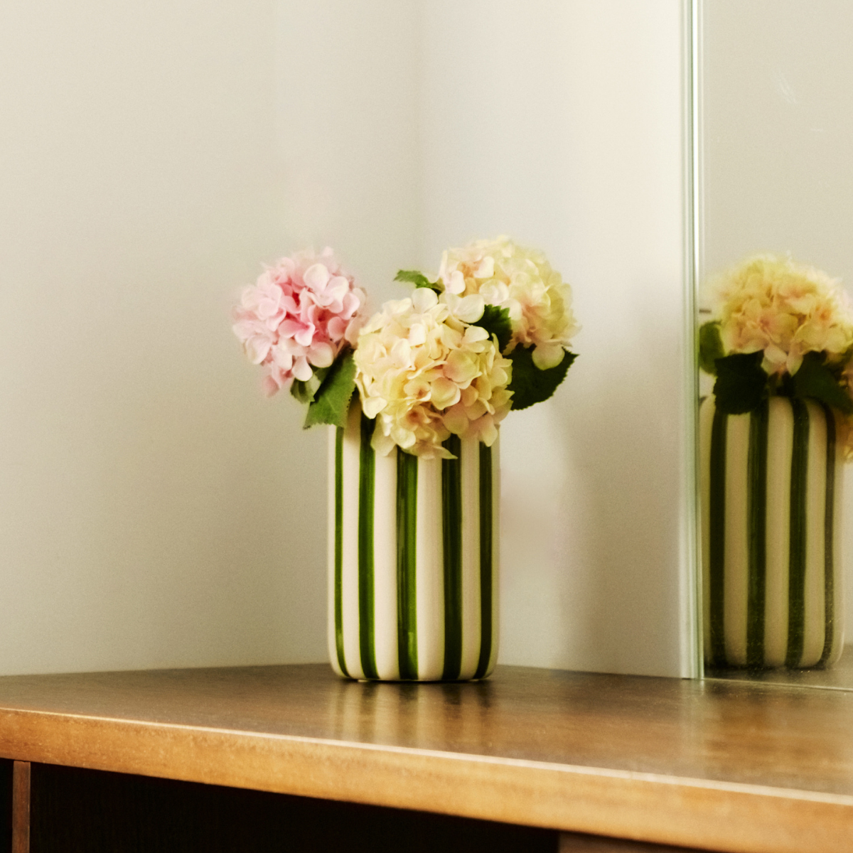 Tige d'Hydrangea