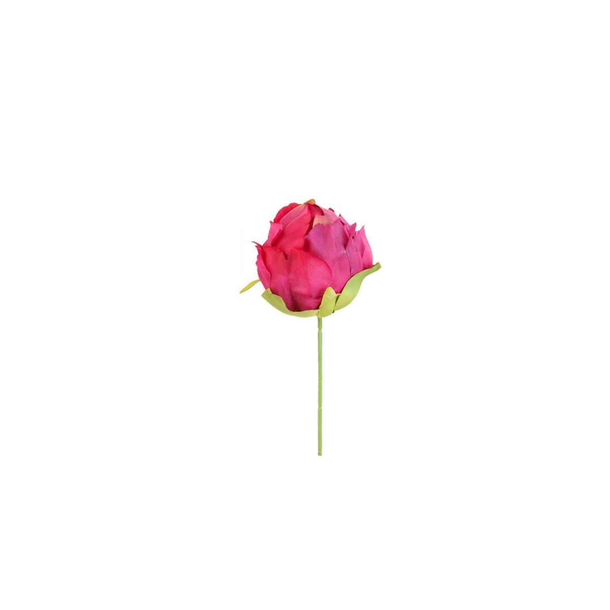 Tige de Bouton de Pivoine à piquer dans de la mousse