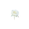 Rose stem for inserting into moss