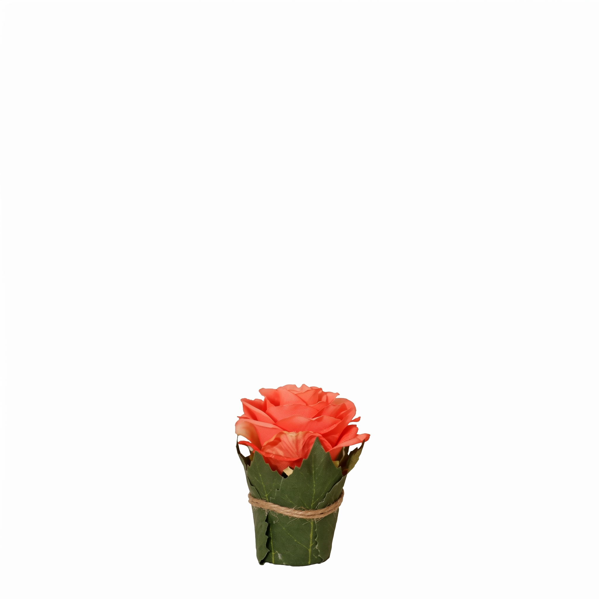 Composición Rosa rodeada de hojas.