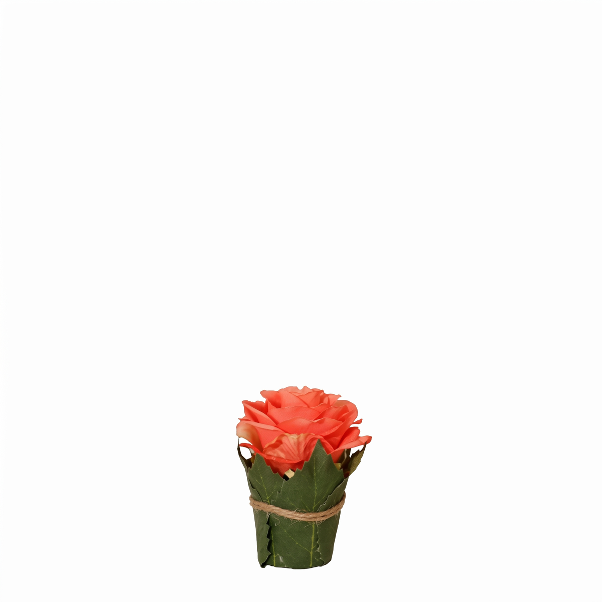 Composición Rosa rodeada de hojas.