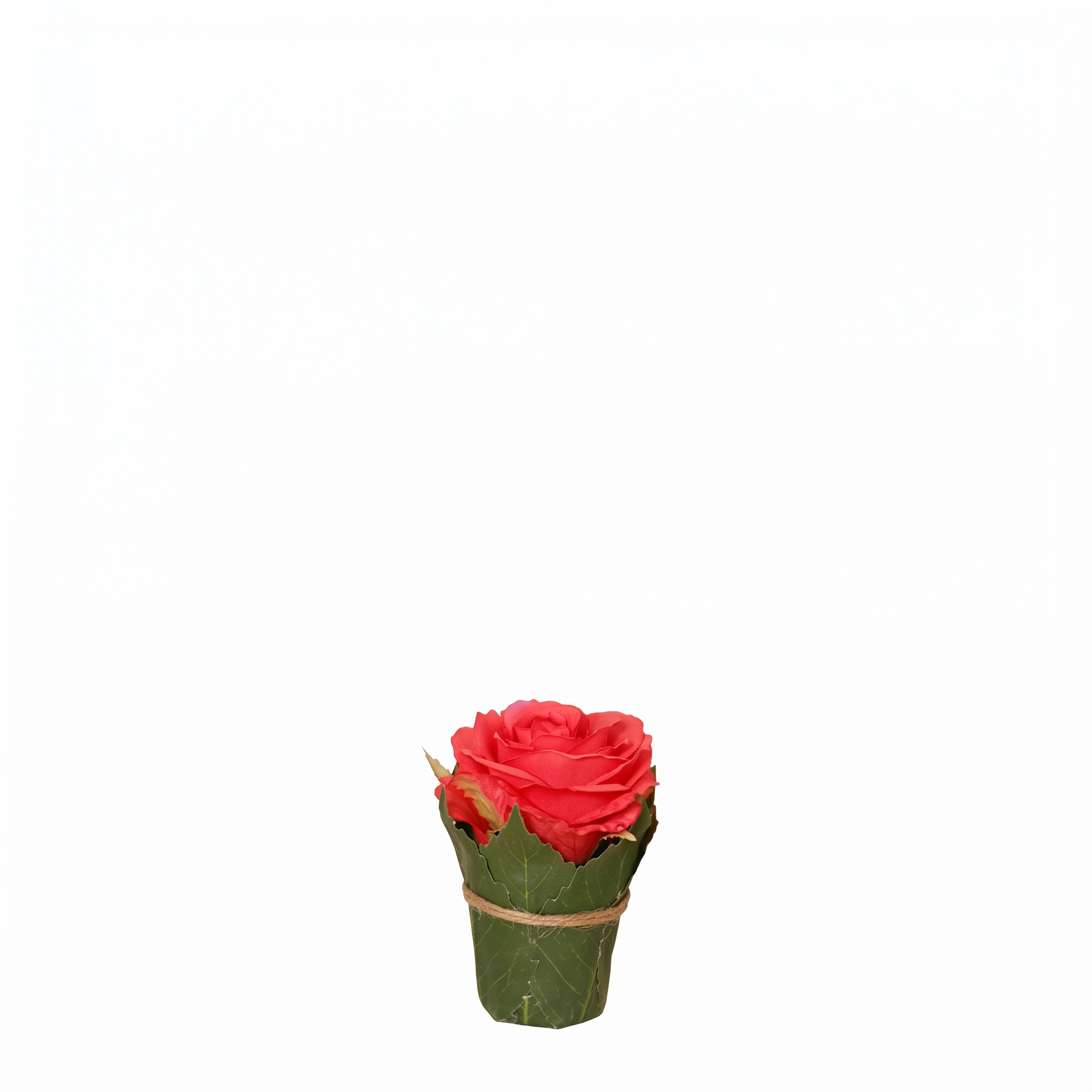 Composición Rosa rodeada de hojas.