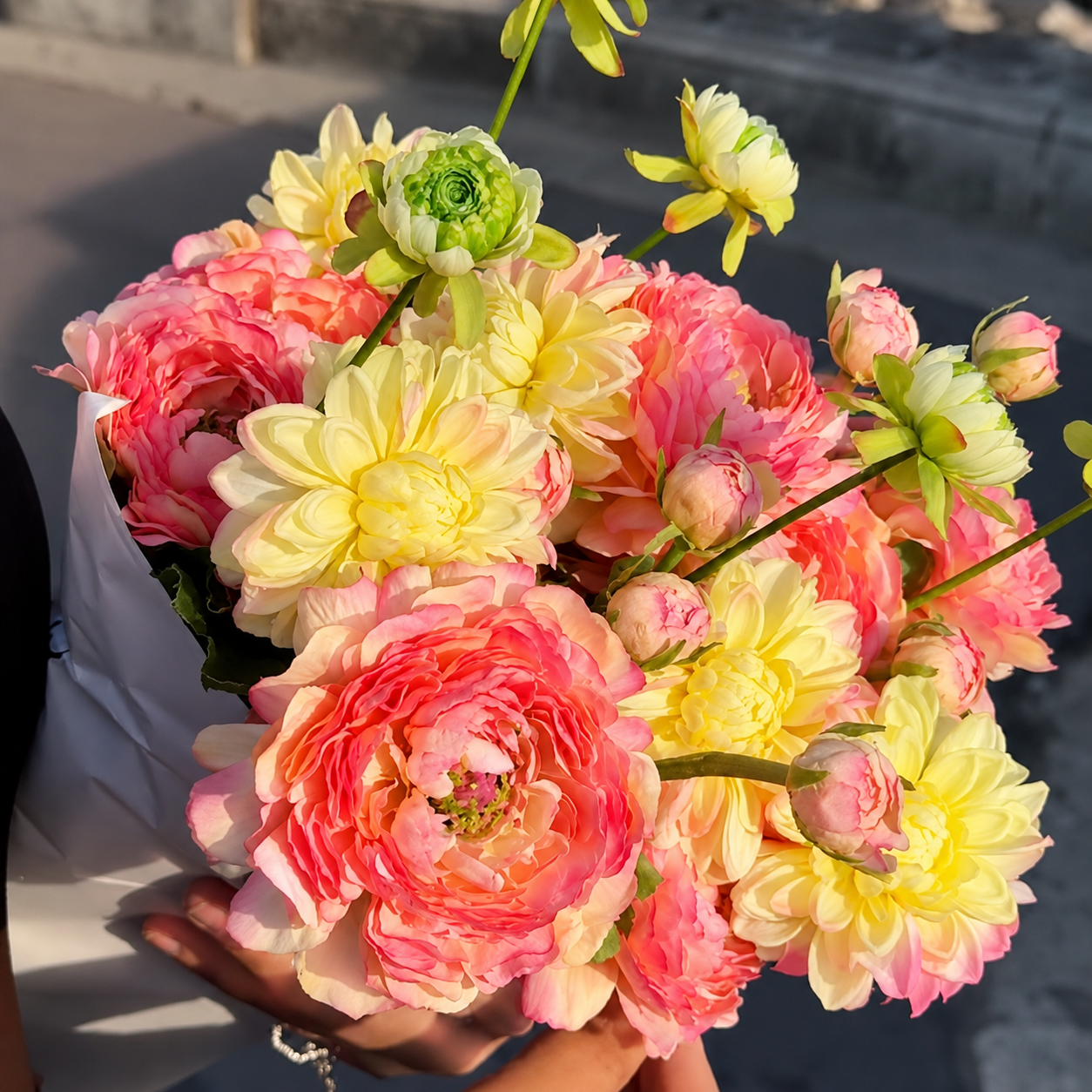 Tige de Dahlia avec bourgeon