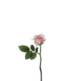 Maria Waterproof Closed Rose Stem