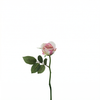 Tige de rose Maria Waterproof fermée
