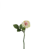 Stelo di rosa impermeabile Maria aperto