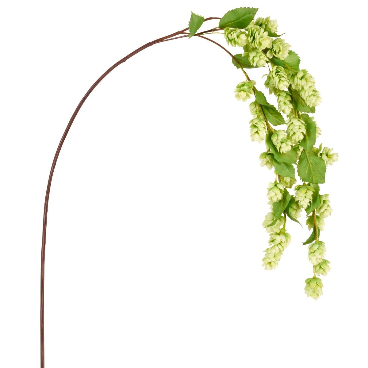 tige tombante de houblon blanc feuillage artificiel haut de gamme réaliste