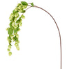 Hop Stem