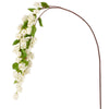Hop Stem