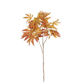 Maple Foliage