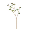 Berry Branch with Leaves