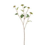 Berry Branch with Leaves