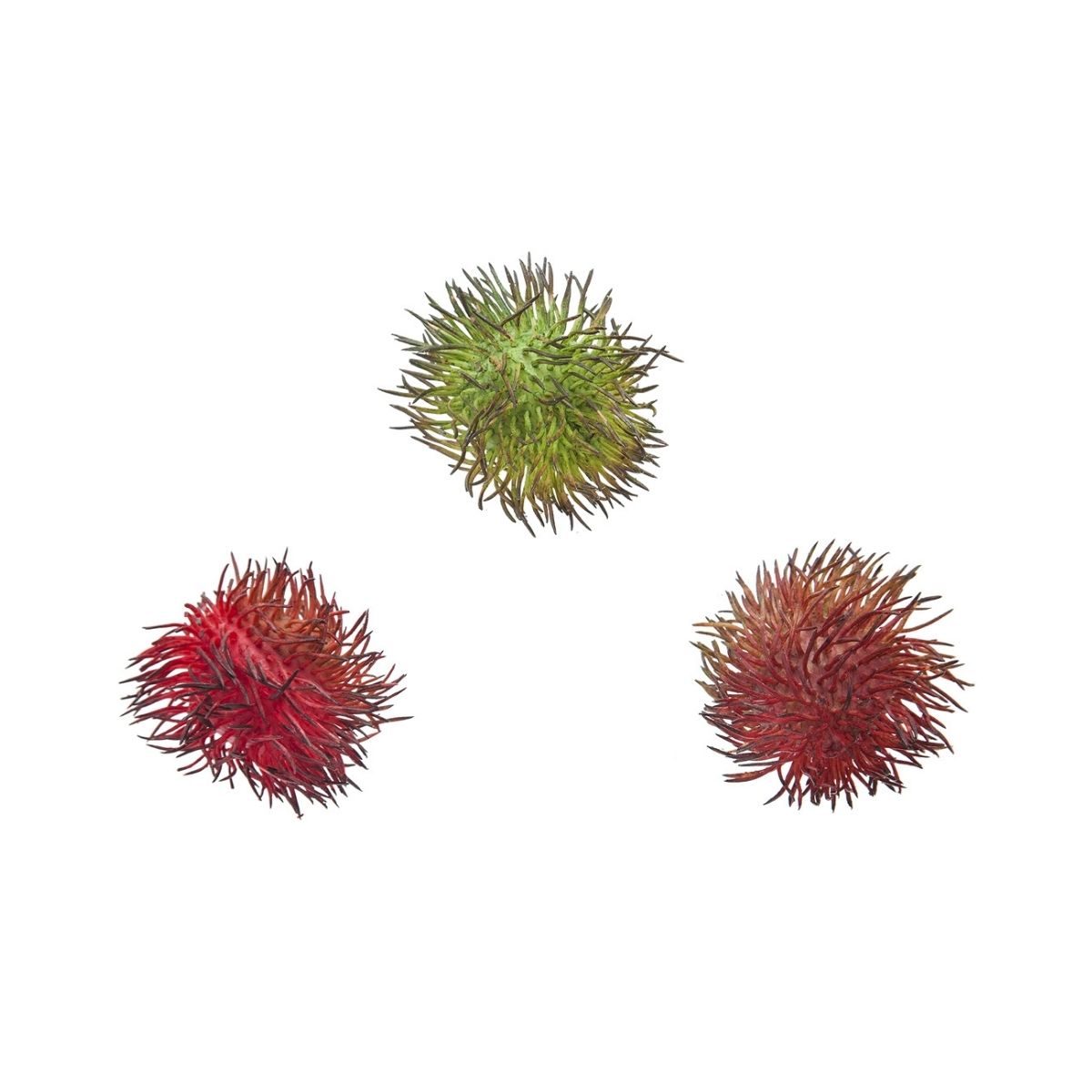 Frutas artificiales de rambután