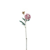 Tige de Dahlia Waterlily avec Bourgeon