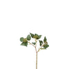 Berry Branch with Leaves