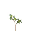 Berry Branch with Leaves
