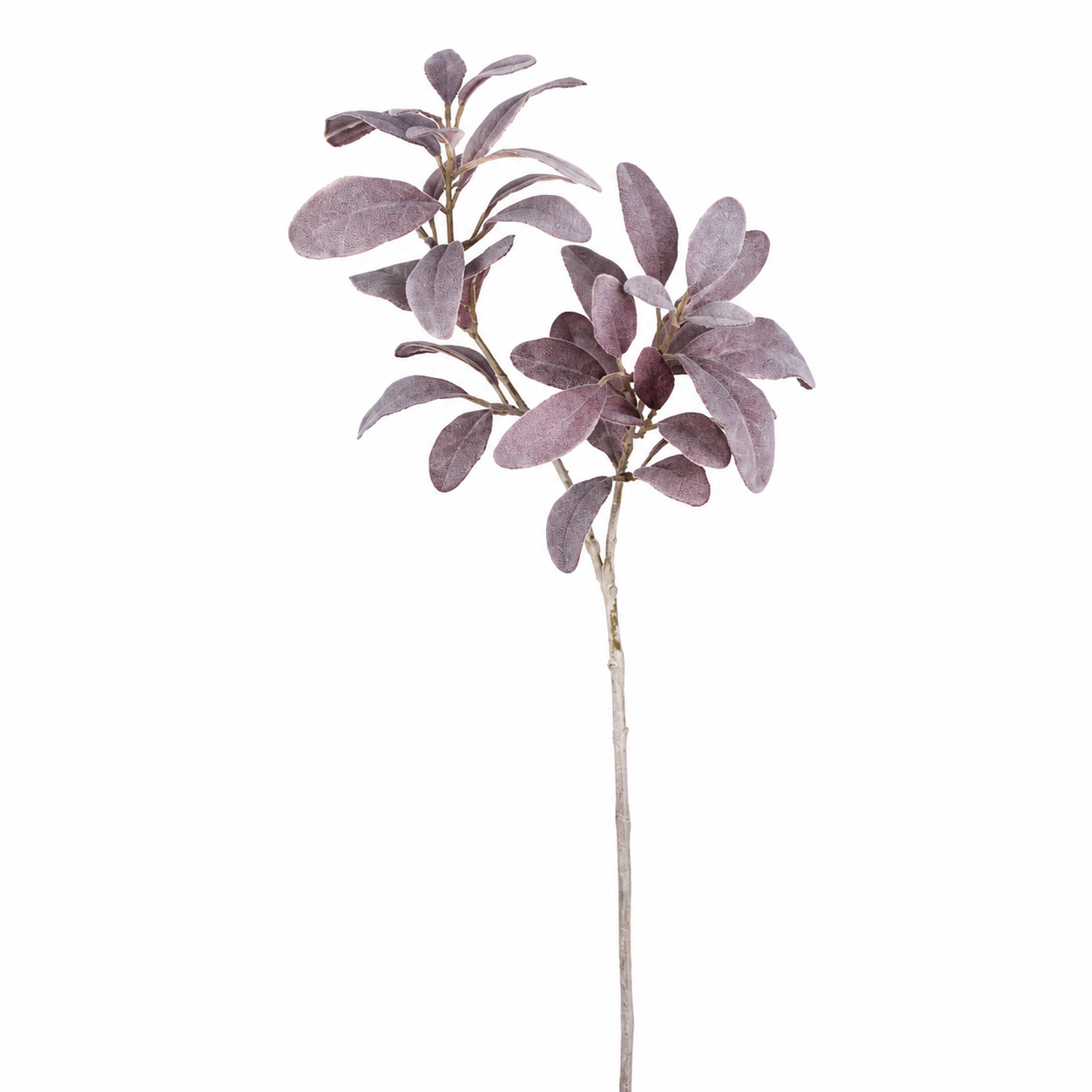 Feuillage Oreille d'Agneau blanchi 74 cm