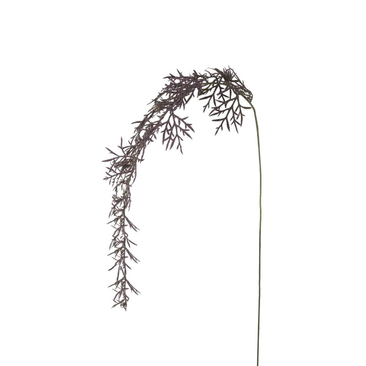 Erba cadente del fogliame