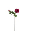 Stelo della camelia