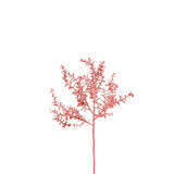 Glittering Foliage Eva