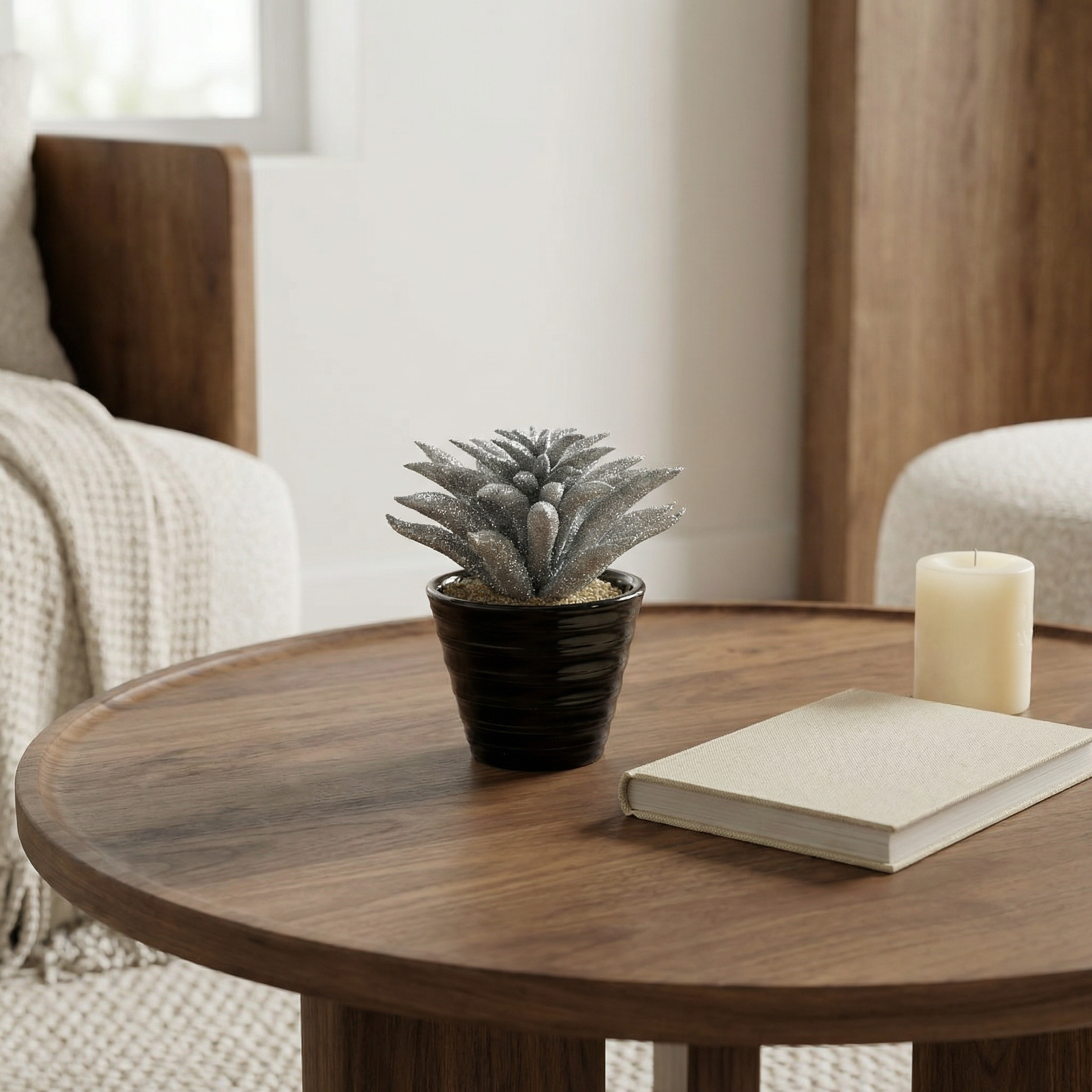Glittering Dudleya succulent in pot