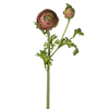 Buttercup Stem