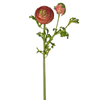 Buttercup Stem