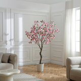 Flowering cherry tree in pot 210cm