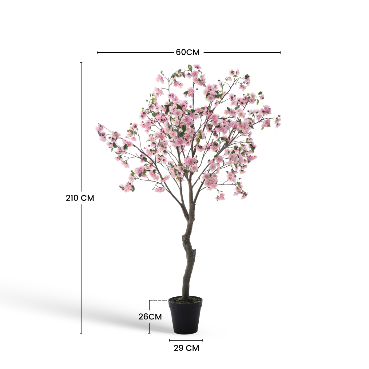 Cerisier en fleurs en pot 210cm