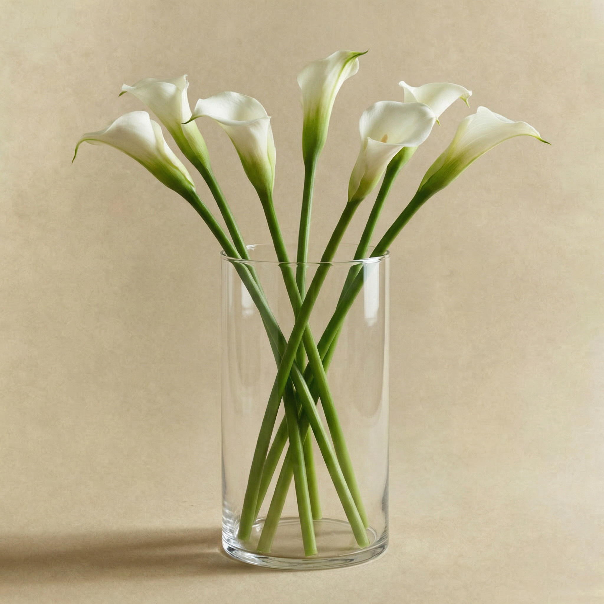 Photophore Halo transparent 16 cm
