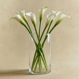 Photophore Halo transparent 16 cm