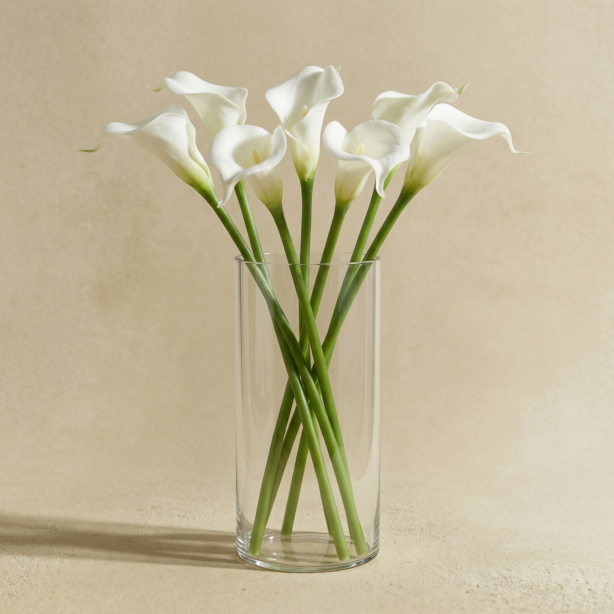 Photophore Halo transparent 20 cm