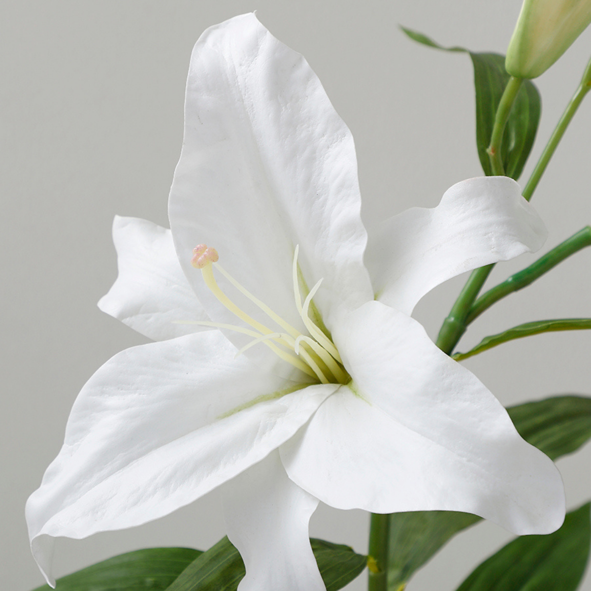 white casablanca lily Casablanca Premium Lily Stem 95 cm – Sia Deco