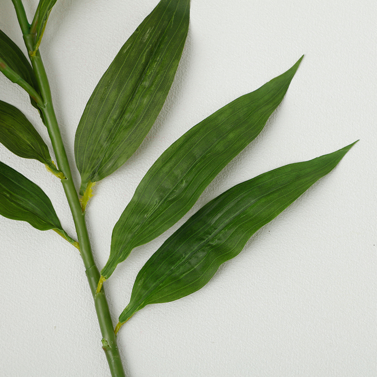 Tige de Lys Casablanca Premium 95 cm