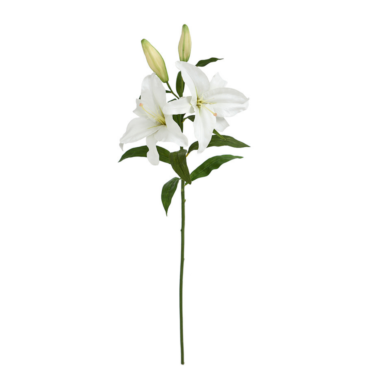 Tige de Lys Casablanca Premium 95 cm