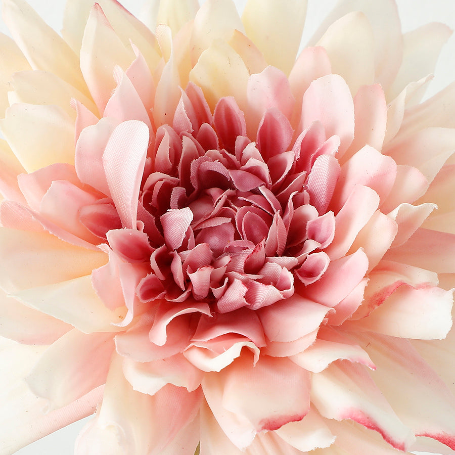 Tige de Dahlia Premium 50cm