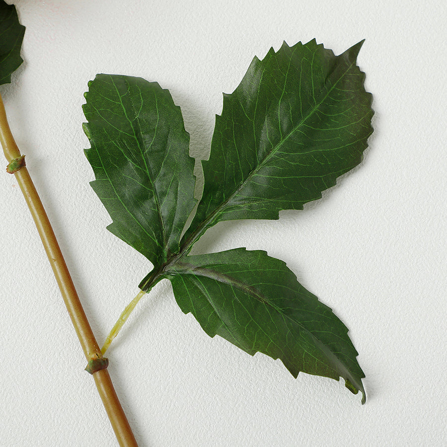 Tige de Dahlia Premium 50cm