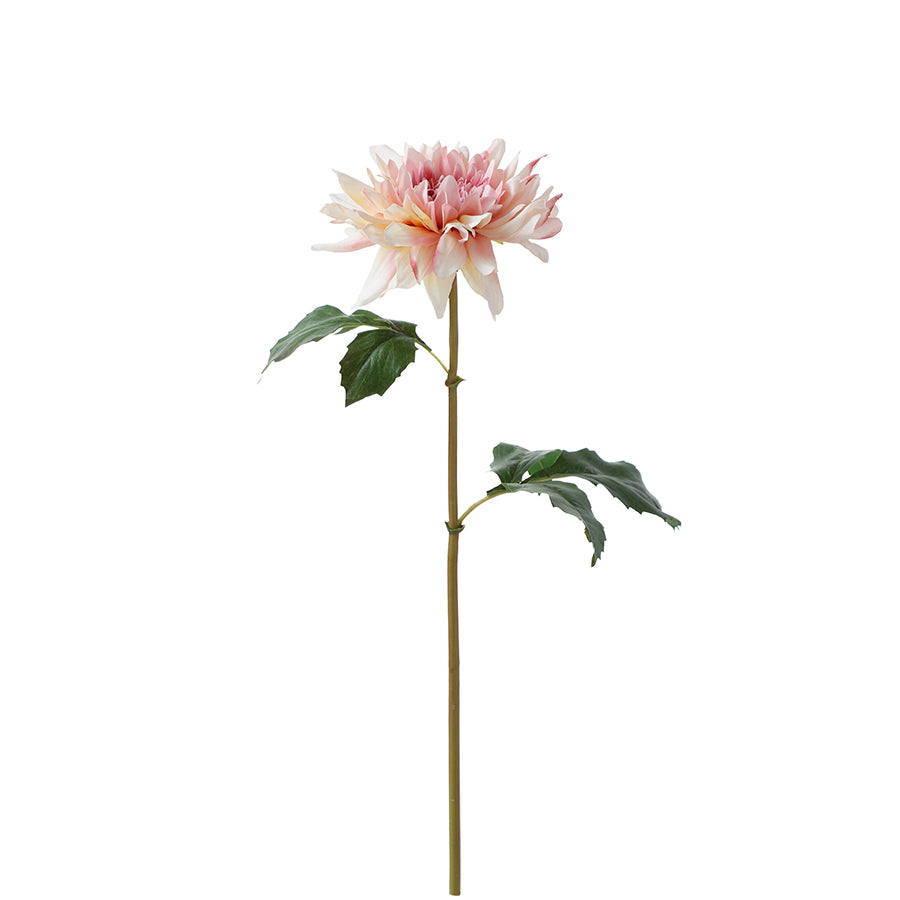 Tige de Dahlia Premium 50cm