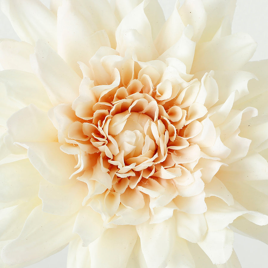 Tige de Dahlia Premium 50cm