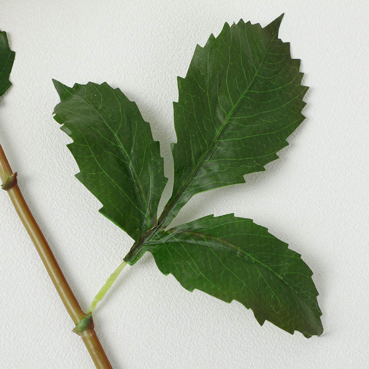 Tige de Dahlia Premium 50cm