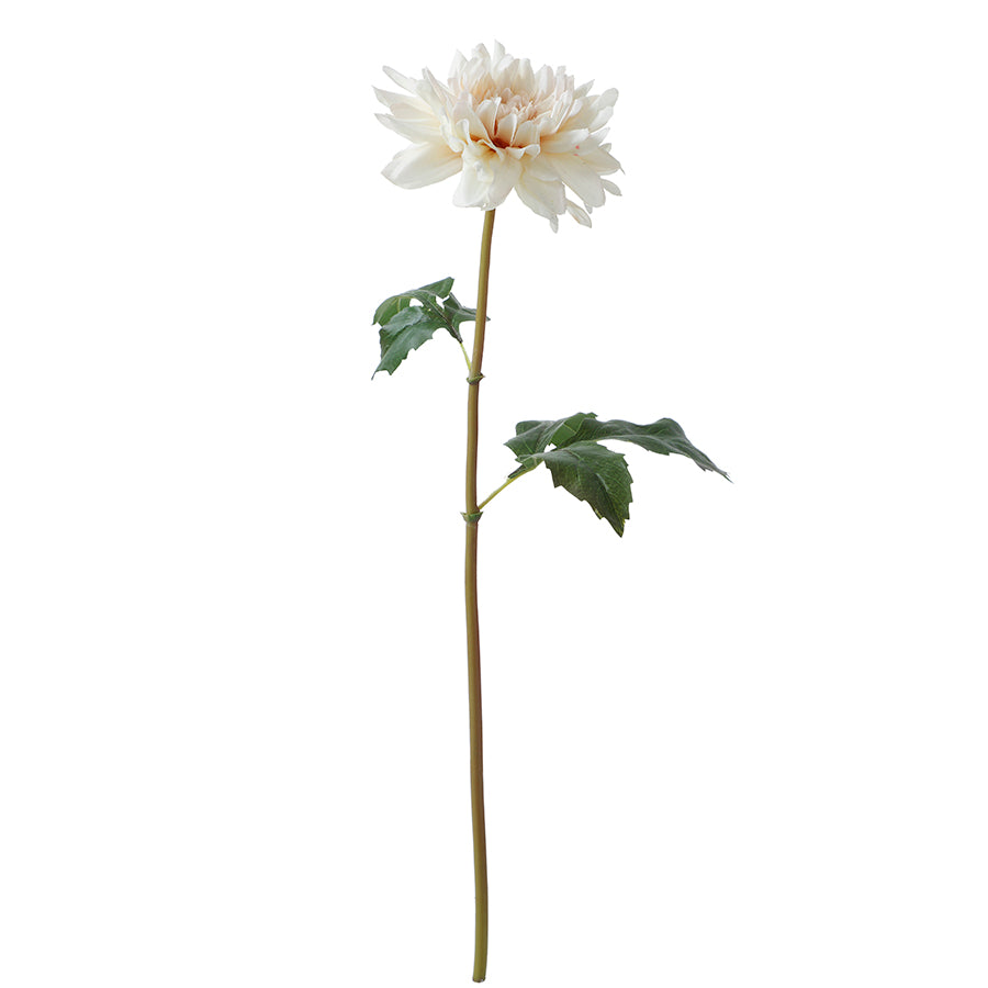 Tige de Dahlia Premium 50cm