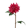 Tallo de dalia premium de 50 cm