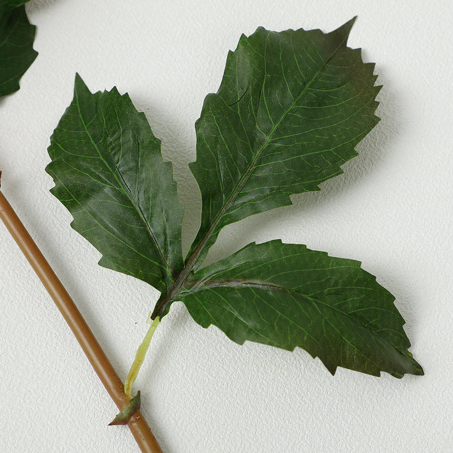 Tige de Dahlia Premium 50cm