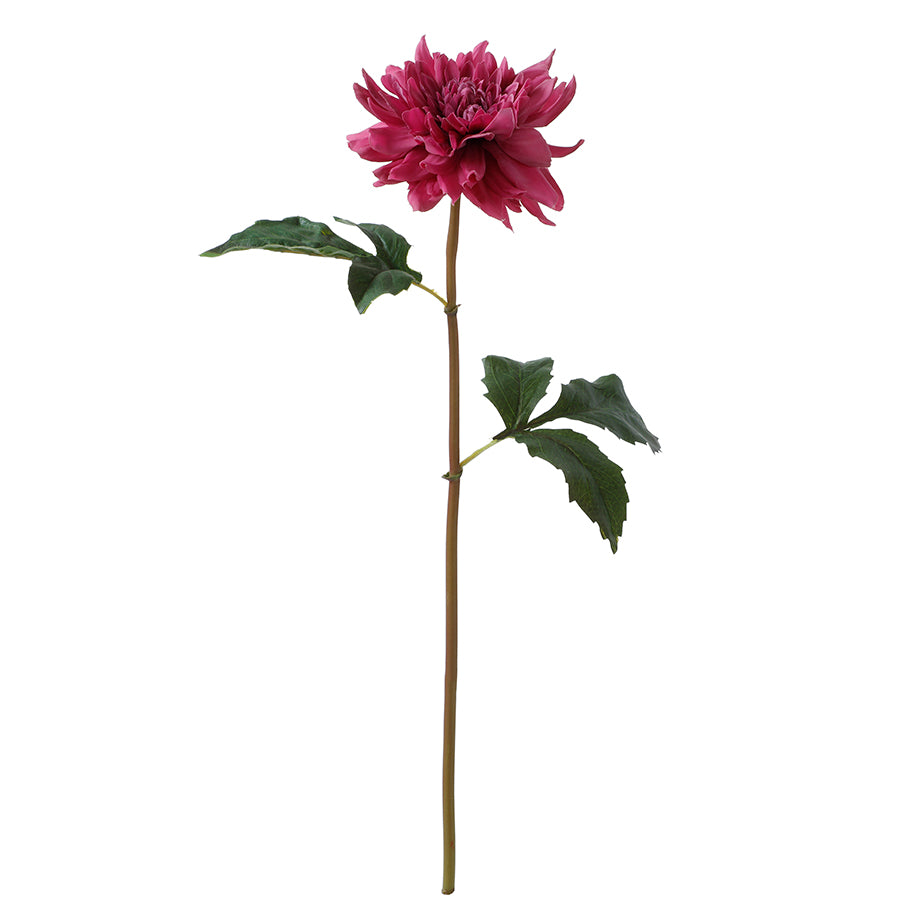 Tige de Dahlia Premium 50cm