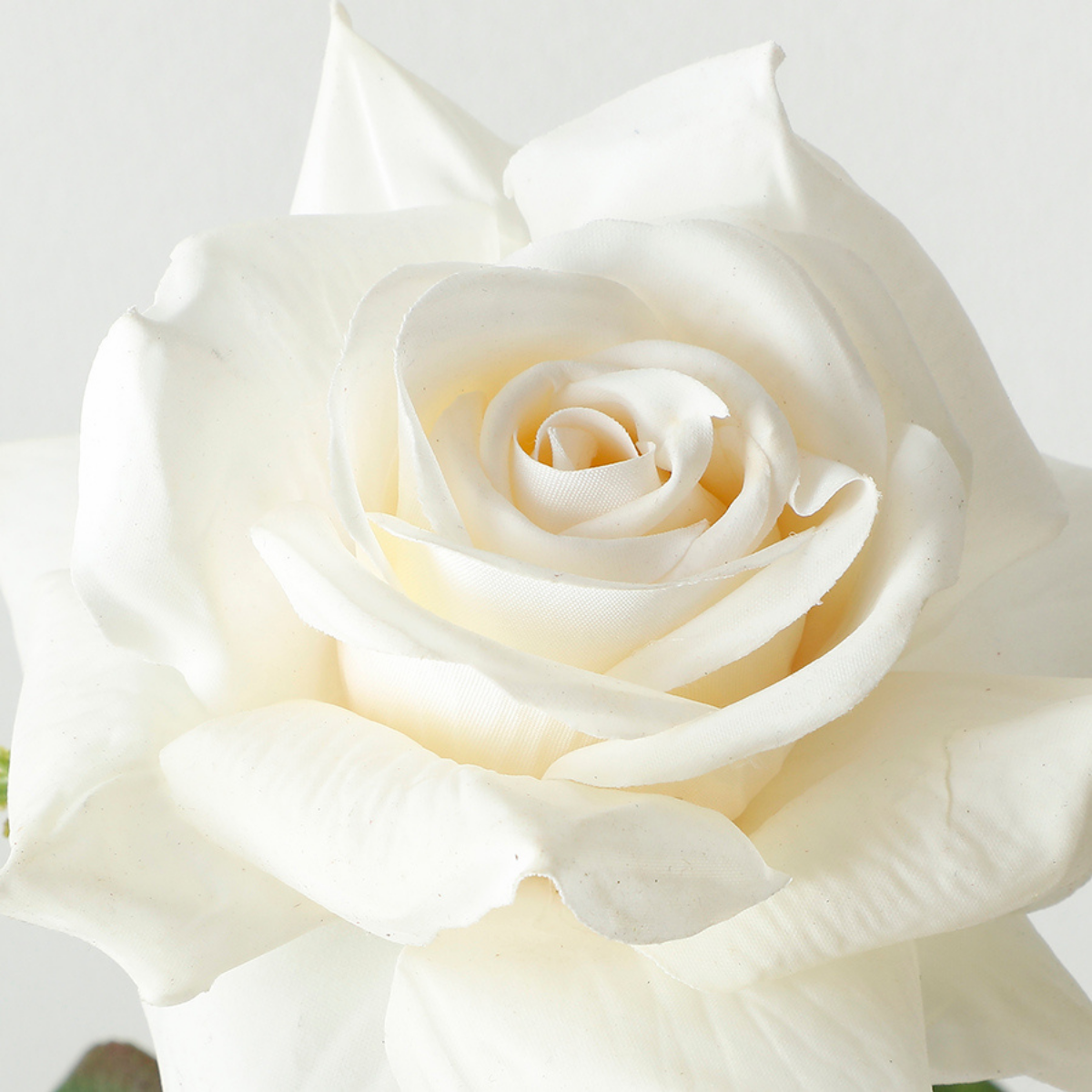 Tige de Rose ouverte Premium 50cm