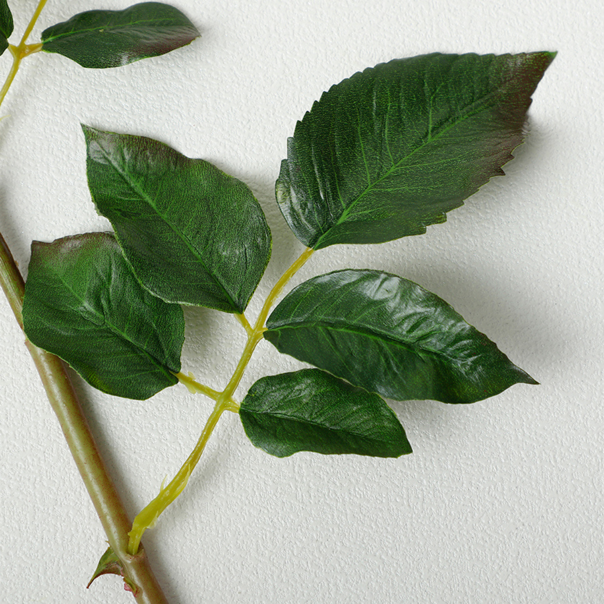 Tige de Rose ouverte Premium 50cm