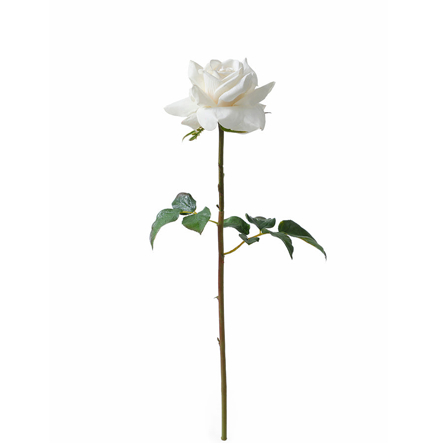 Tige de Rose ouverte Premium 50cm