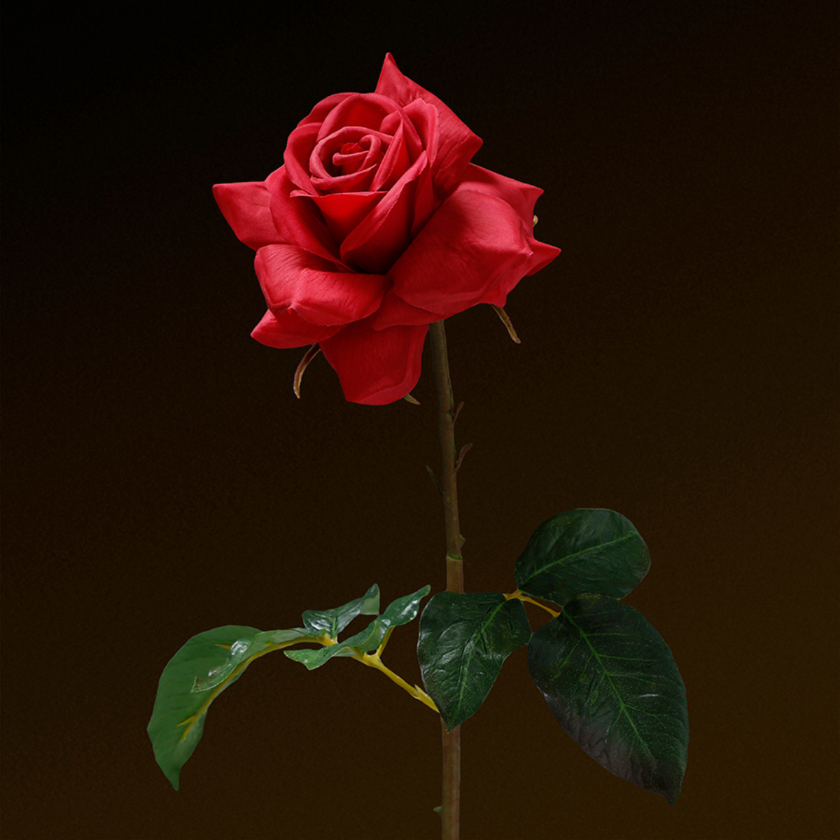 Tige de Rose ouverte Premium 50cm